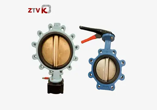 Anticorrosion Treatment Methods for Sea Water Butterfly Valves